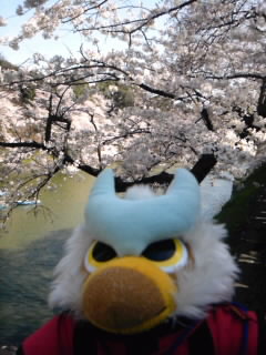 SH3F04340001.jpg