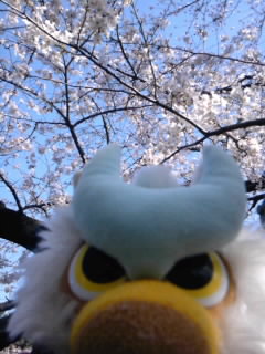 SH3F04370001.jpg