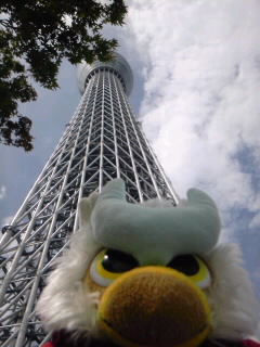 SH3F04900002.jpg