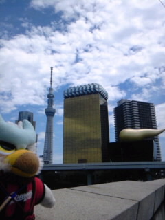 SH3F04940001.jpg