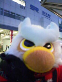 20121006_173354.jpg