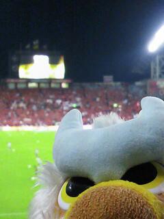 20121006_195410.jpg