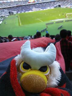 20121028_110815.jpg