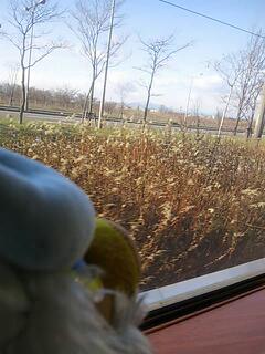 20121124_095808.jpg