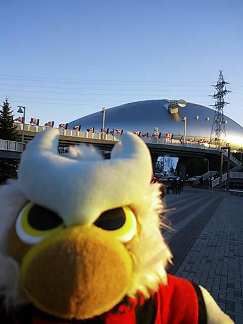 20121201_193221.jpg