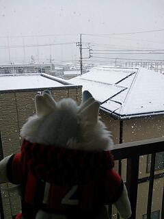 20130114_112937.jpg