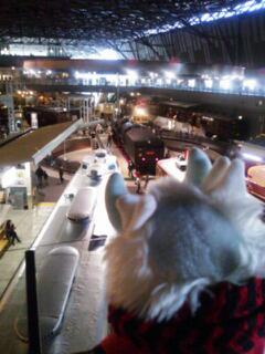 20130119_174640.jpg