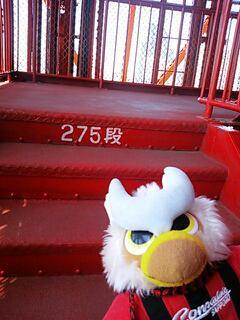 20130427_173651.jpg