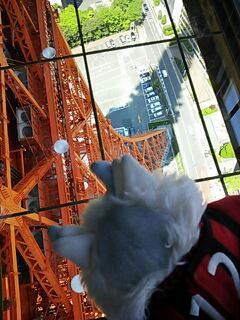 20130427_173407.jpg
