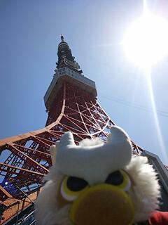 20130427_173458.jpg