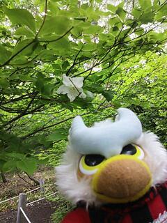 20130615_201446.jpg