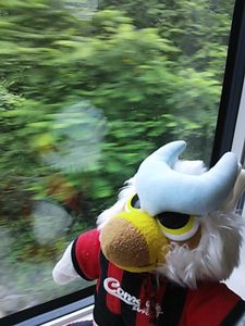 車窓が山雅カラー