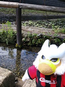 水が冷たいっ！