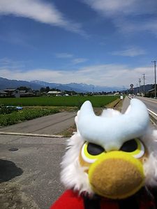 視力回復中