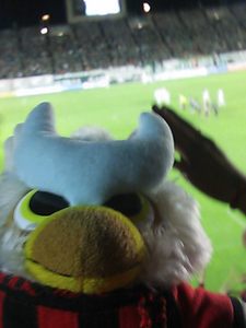 勝った～