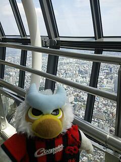 20130728_181905.jpg