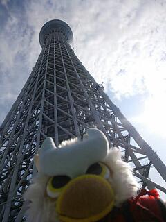 20130728_185319.jpg