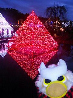 20131225_120336.jpg