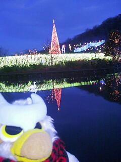 20131225_120504.jpg