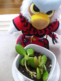 20140102_172553.jpg