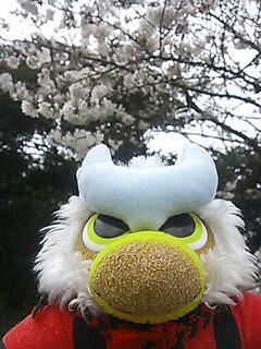 20150329_150305.jpg