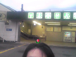 =?iso-2022-jp?B?GyRCJS8lbCVSJV4bKEIuSlBH?=.jpg