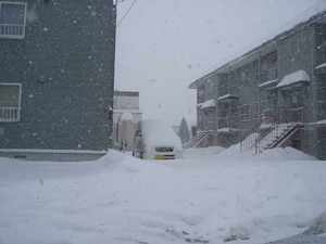 20051229-02.JPG