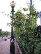 1628996508-IMG_0519.JPG