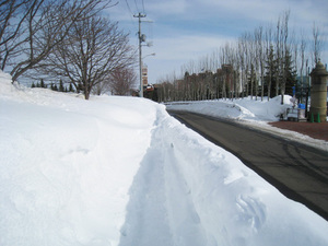 1646025608-IMG_0780.JPG