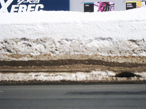 1646025808-IMG_0782.JPG