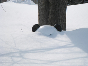 1646026040-IMG_0799.JPG