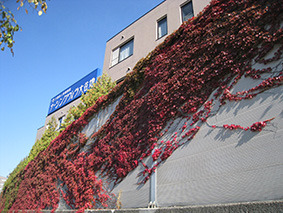 1508034911-IMG_4468.JPG