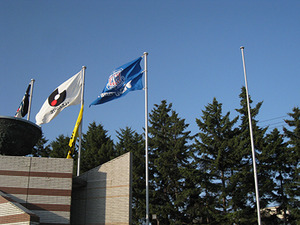 1525938156-5.9.14.jpg