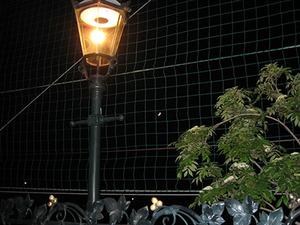 1526878673-IMG_5142.JPG