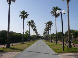 20070528-10.JPG