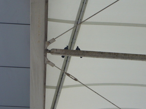 20070624-03.JPG