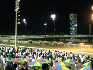 20080816-03.JPG
