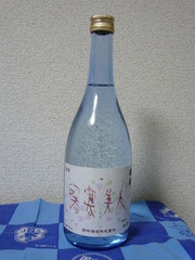 20090202-01.JPG