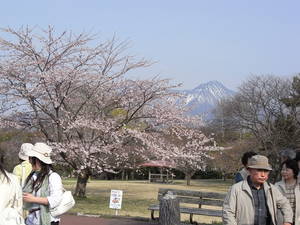 20090505-00.JPG