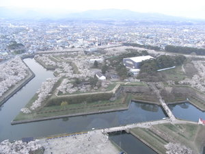 20090505-01.JPG