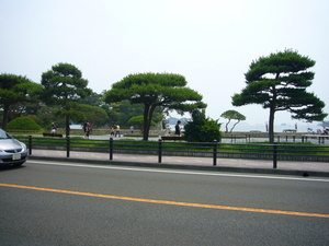 20090629-05.JPG
