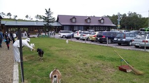 20090921-14.jpg