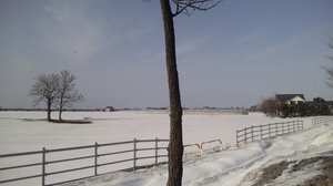 20100327-00.jpg