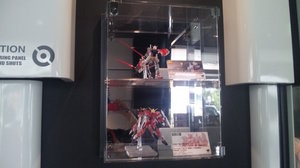 20100817-10.jpg