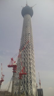 20100817-17.jpg