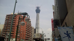 20100817-18.jpg