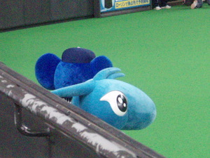 20080524-00.JPG
