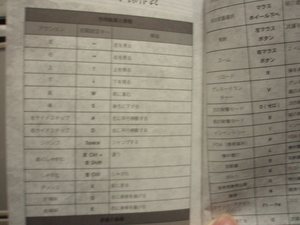 20100221-07.JPG