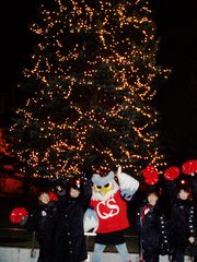 20071206-01.JPG