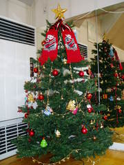 20071211-02.JPG